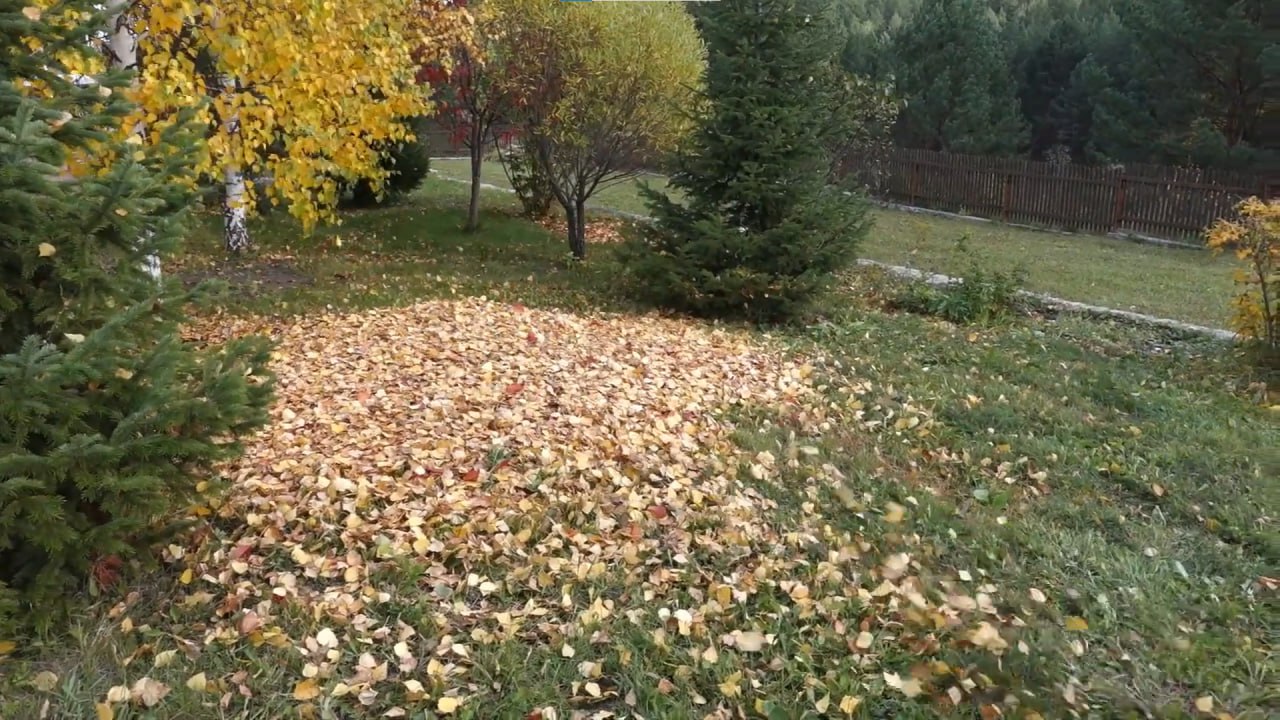 https://pskov.mslandshaft.ru/storage/app/uploads/public/642/ac5/f22/642ac5f2293e2935715739.jpg
